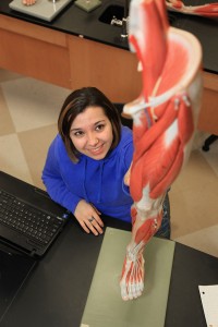 healthcare student inspecting model of leg