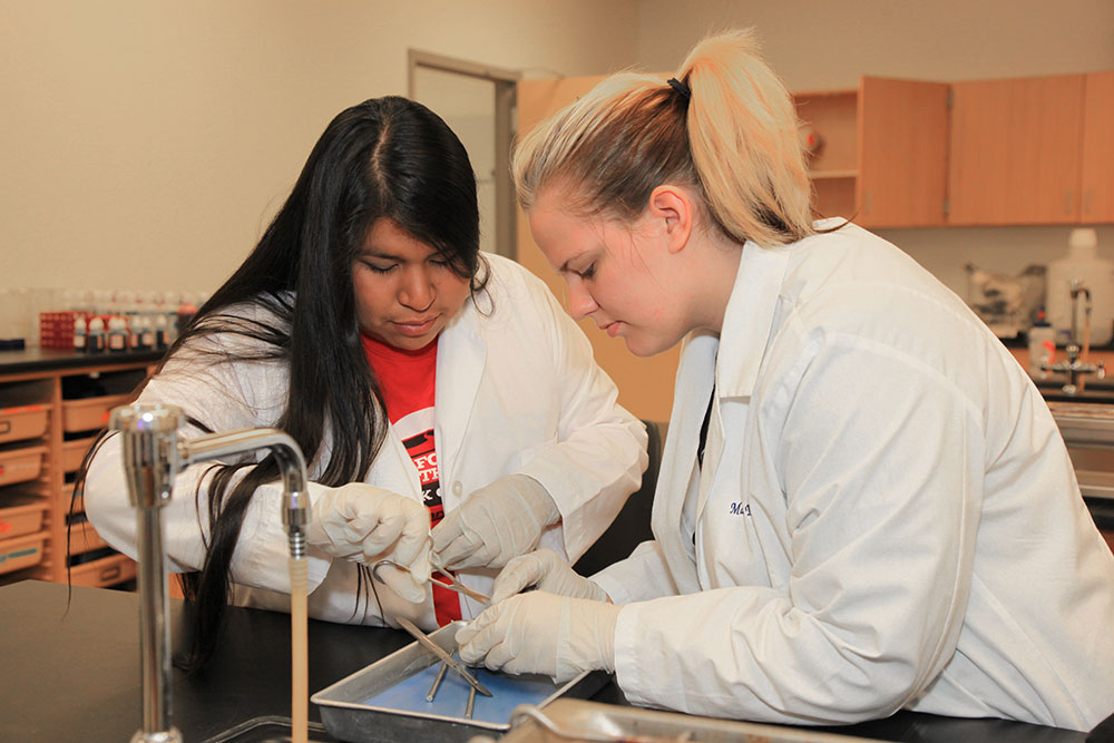 Areas of Study | Georgia Highlands College
