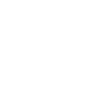 Magnifying glass icon