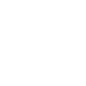 Person icon
